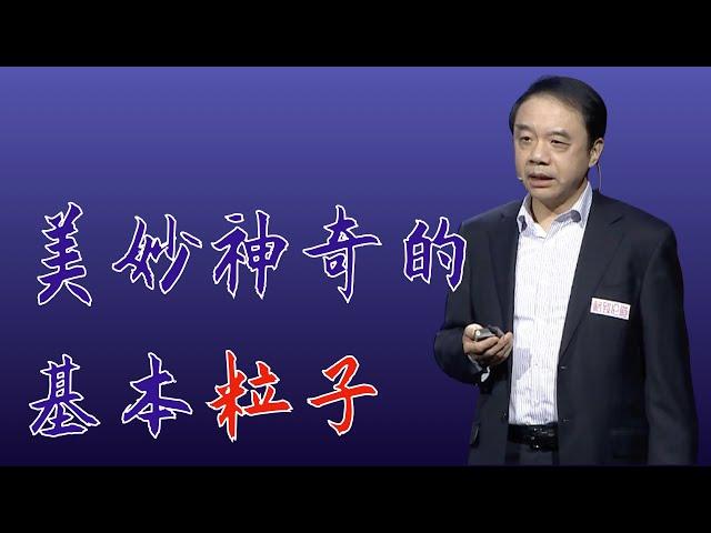 Wang Yifang: twelve basic particles constitute the whole material world｜self