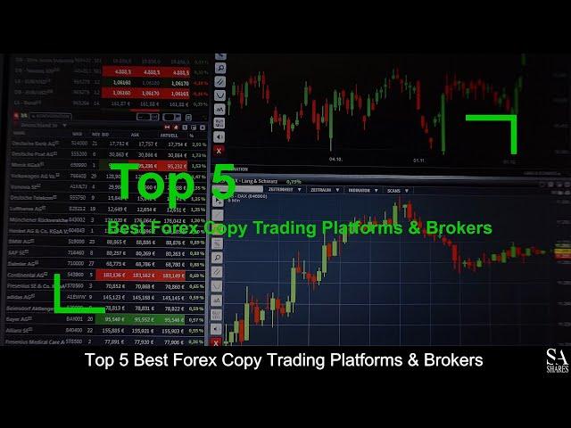 TOP 5 BEST Forex Copy Trading Platforms & Brokers (revealed ) 