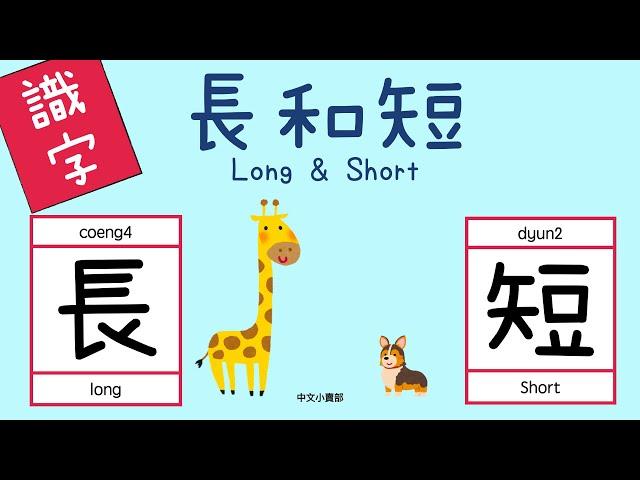 幼兒識字：長、短｜兒童認字｜廣東話學中文｜learn chinese