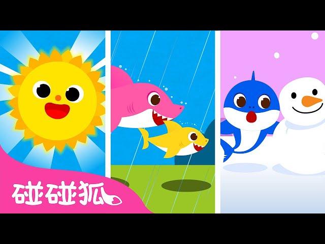 今天天气怎么样｜晴天️？ 多云️？ 是什么天气？ ｜鲨鱼一家｜鲨鱼宝宝儿歌｜How's the Weather?｜中文儿歌｜碰碰狐儿歌｜Nursery Rhymes｜碰碰狐Pinkfong