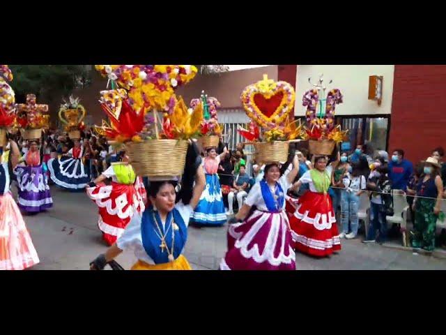 Asi desfilan las delegaciones que bailarán el primer lunes del cerro Guelaguetza 2022