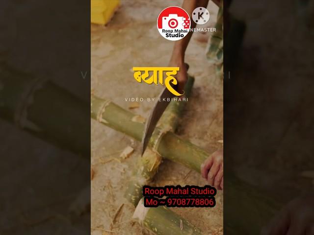 #vairal #cooming #videomarriage  #video #love #new Roop Mahal Studio Trade enquiry 9708778806