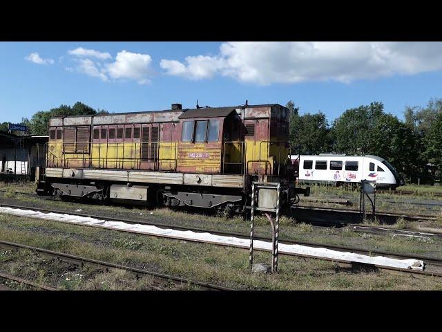 Zugverkehr in Liberec am 06.08.2024 - Transistoren, Tram und Desiro