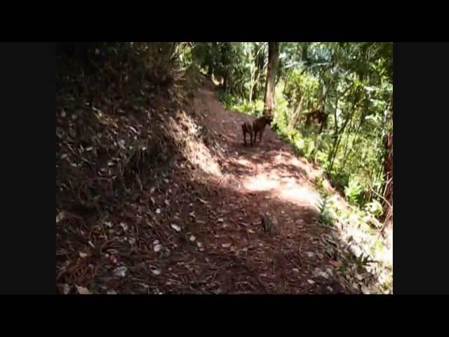 Hau'ula Loop Trail Hike