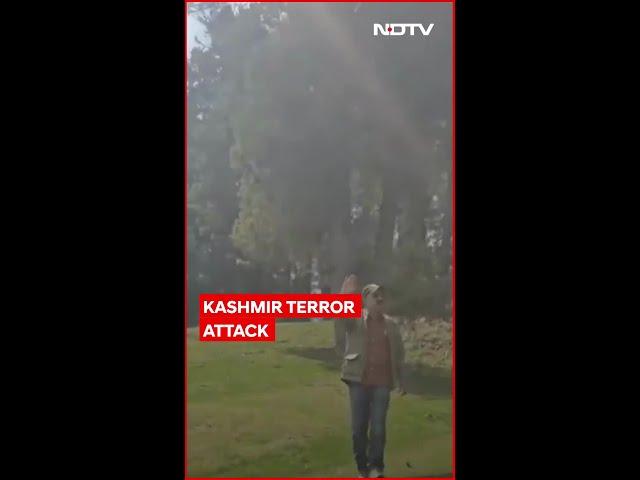 Pahalgam Terror Attack | Tourist's Video Shows Chilling Moment Terrorists Open Fire in Pahalgam