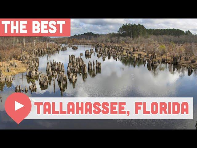 Best Things to Do in Tallahassee, Florida