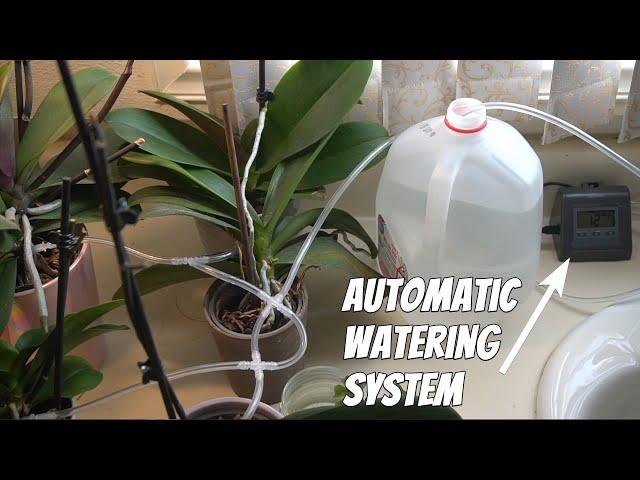 RAINPOINT Automatic Watering System for Potted Plants Review