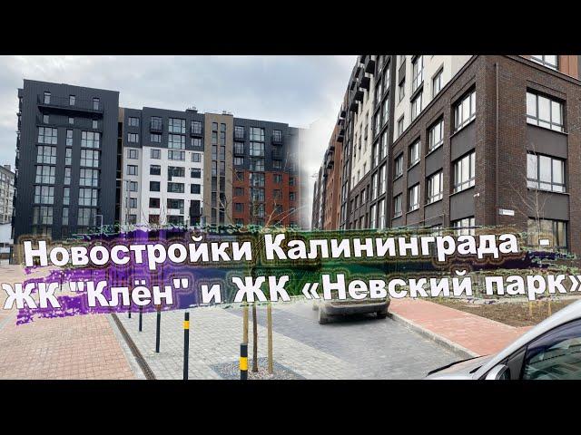 Новостройки Калининграда  - ЖК "Клён" и ЖК «Невский парк»