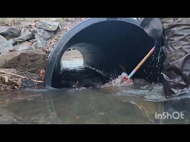 Highway 31 Beavers have returned mega flooding