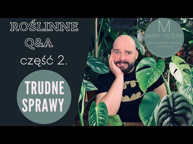 Ile wydałem na rośliny w 2020?  Q&A: Trudne sprawy