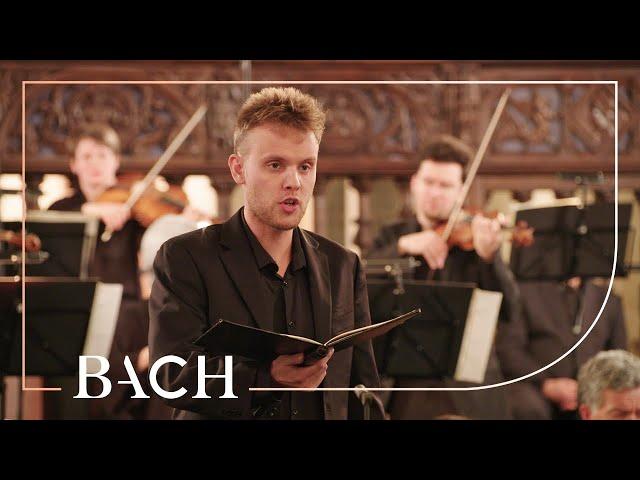 Bach - Cantata Weinen, Klagen, Sorgen, Zagen BWV 12 - Jacobs | Netherlands Bach Society