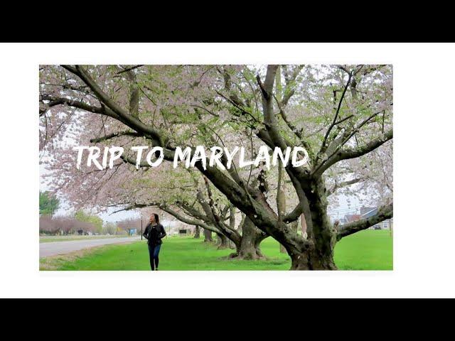 Trip to Maryland | Social Distance Date |  Appreciating Simple Things | Appreciating Life