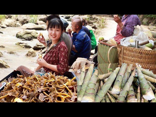 Summer into the mountains found wild goods! Wild bamboo shoots  wild ears  wild mushrooms  this is