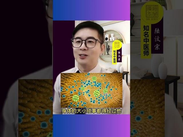 第 12 集：养肝有多重要？