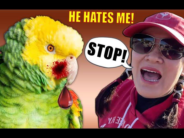 MY PET PARROT HATES ME NOW, HE"S ATTACKING ME. WHAT SHOULD I DO?