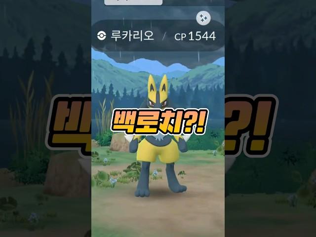 무패에서 백로치? #쌈밥tv #포켓몬고 #이로치 #루카리오