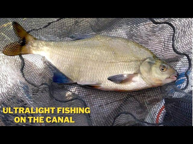 29c On The Canal and The Fish Are Biting