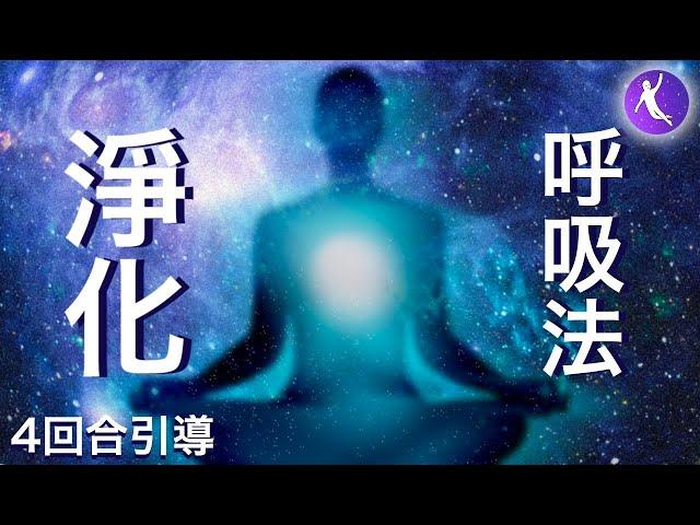 淨化呼吸法，12分鐘引導 | 排毒，提升免疫力 | 冰人Wim Hof 冰人呼吸法