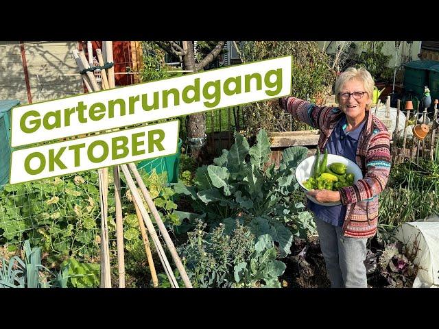 ... wie schnell sich alles verändert (Gartenrundgang)