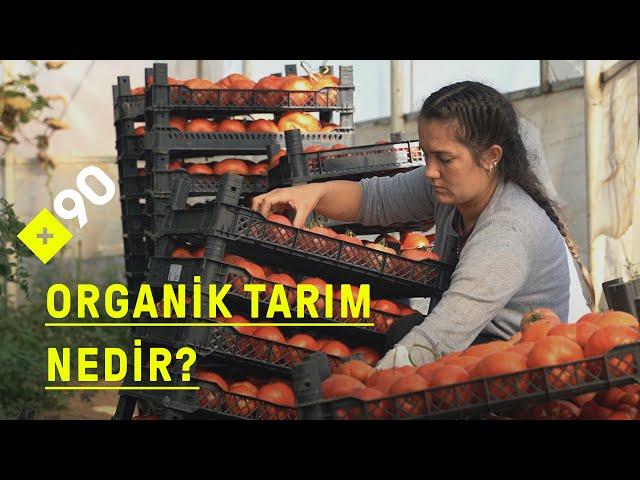 Organik tarım nedir? "Organik tarımda toprağı korursunuz, havayı korursunuz"