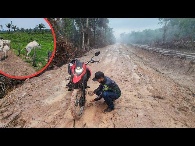 PEGAMOS MUITA CHUVA E ATOLAMOS NO NOSSO ATERRO, FOI O JEITO RANCAR TUDO