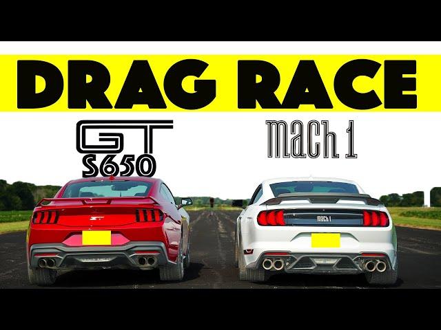 Ford Trolling Us? 2024 Ford Mustang GT S650 vs. Mustang Mach 1 S550. Drag and Roll Race.