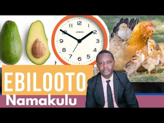 Ebilooto (Questions and Answers) by brother Steven