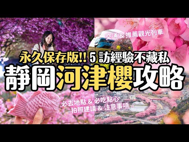 2024靜岡伊豆河津櫻攻略永久保存版/抱佛腳用 5訪經驗全分享 何時滿開？交通方法？必去必吃？夜櫻？注意事項