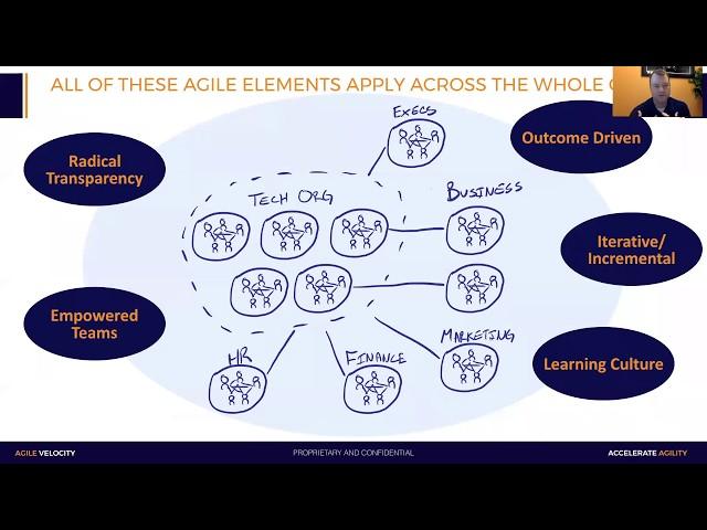 Organizational Agility: Take Agile Beyond the Team