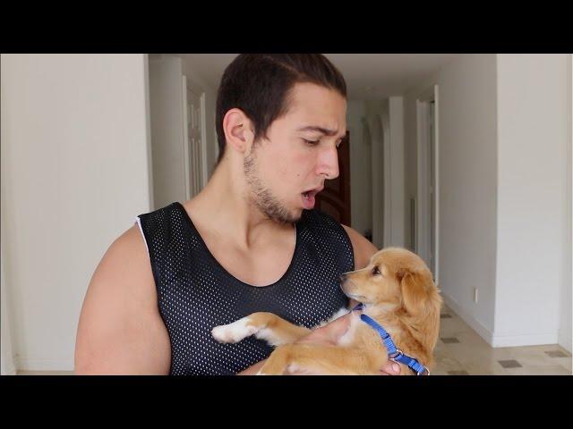 EVERY GIRL'S WEAKNESS!!