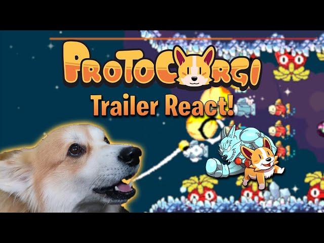 Real Corgi Reacts to ProtoCorgi Trailer!