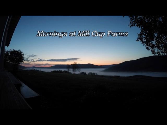 Mornings at Mill Gap Farms