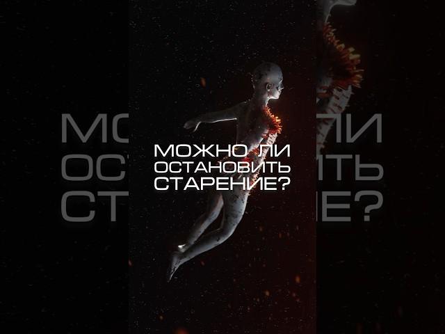 Нейросеть отвечает «можно ли остановить старение?» #нейросеть #старение #вечнаямолодость