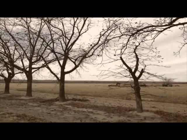 The Legend of Chuggs - Official Trailer 2014