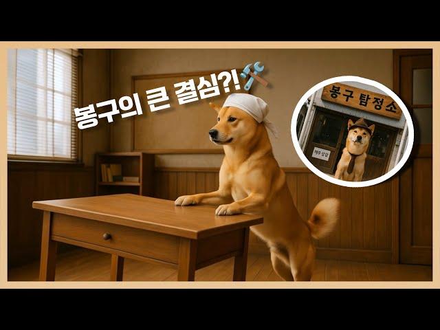 《The Birth of Detective Bonggu》Finally, Bonggu makes a bold decision