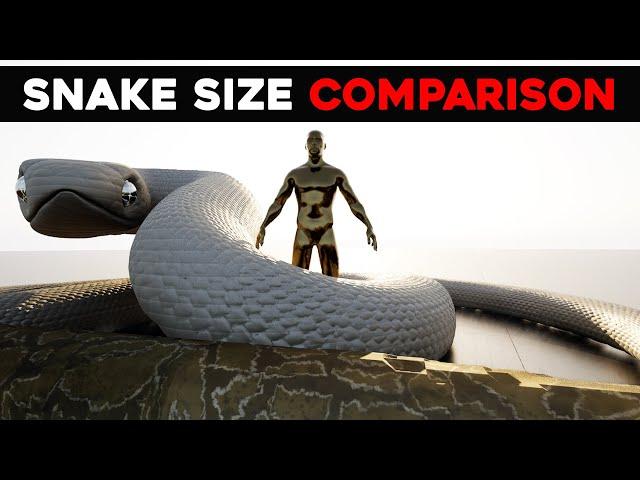 Titanoboa vs All The Snakes (Size Comparison)