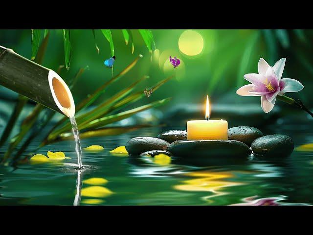 Tranquil night : Relaxing Music for Stress Relief, Heals the Mind, Body and Soul - Deep Sleep Music