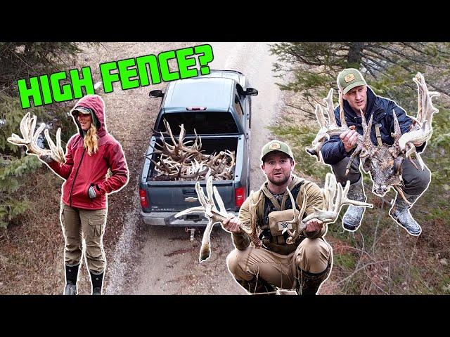 What its like Shed Hunting a High Fence Trophy Ranch