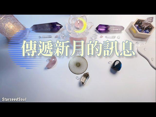  塔羅占卜| 傳遞新月的訊息(Timeless)