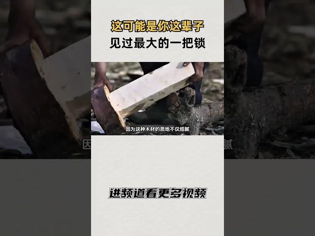 这可能是你这辈子见过最大的一把锁，“八盖木锁”岁月的传承！ #知识 #趣闻 #历史