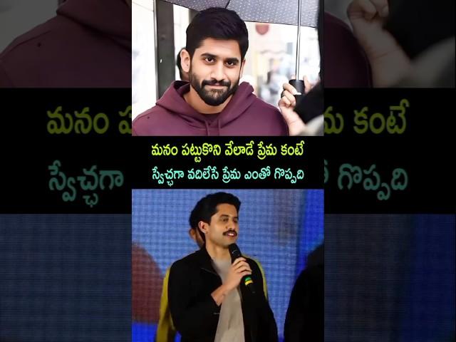 Great Actor Naga Chaitanya Dialogue Today Live New Latest Update Fan Movie Song Trailer Teaser