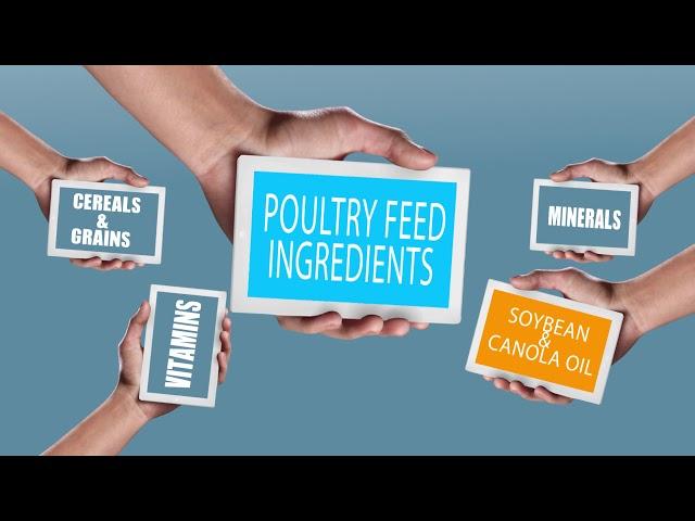 Pakistan Poultry Association