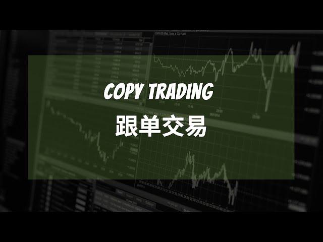 Copy Trading：收益率1550%，跟单靠谱吗？