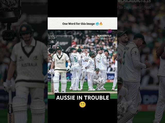 AUS VS SA IN WTC FINAL #cricket #wtcfinal