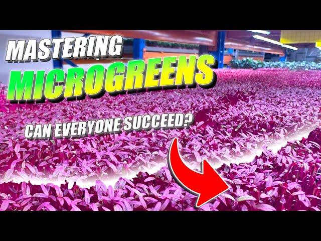 Can Everyone Succeed Growing Microgreens?