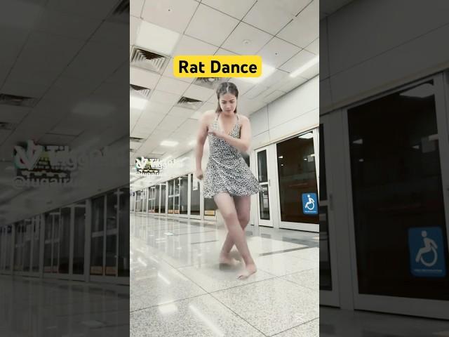 Rat Dance Song by Ahmed Jihad #viggleai #aigenerated #trendingsong