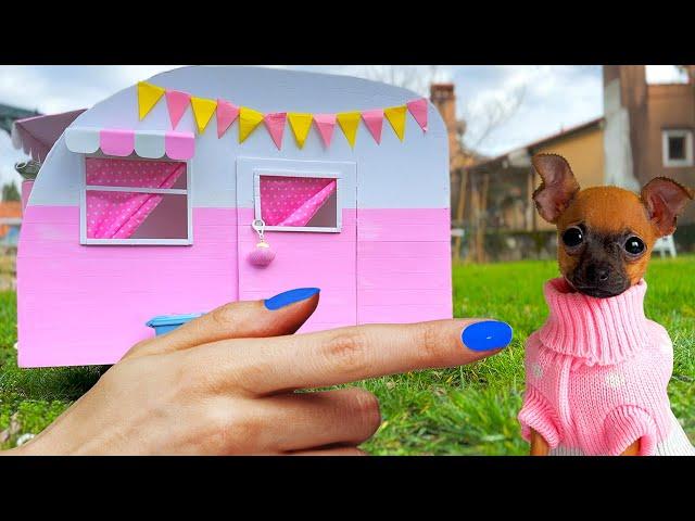 Rescued The Smallest Pet Ever ️ How to build a NEW Amazing HOUSE for Pets