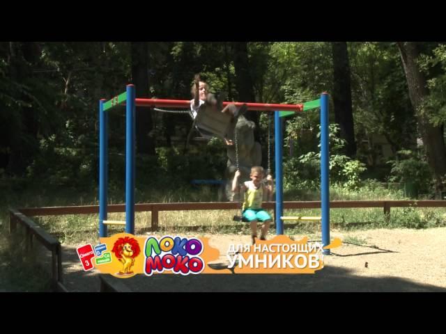 Умный ребенок: закладываем основы правильного питания с детства