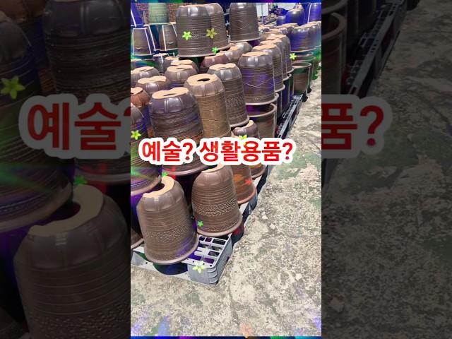 예술?  생활용품?