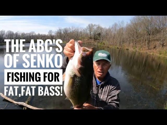 ABC's of bank Senko fishing for fat, fat Bass!